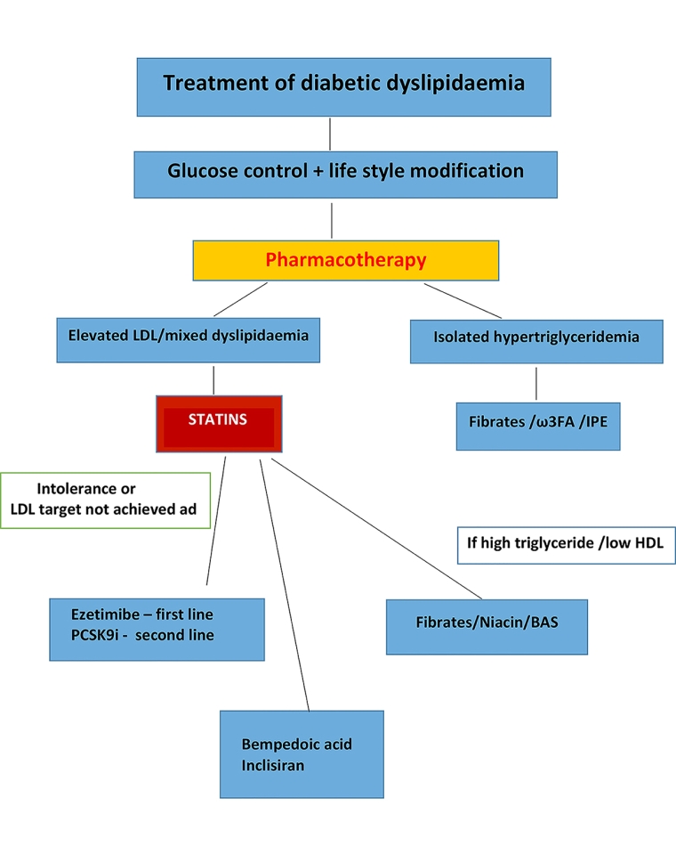 Diabetic Dyslipidaemia Which Drugs To Use 6134